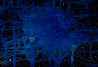 Dreamworld - Blue Moon