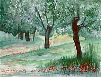 Garten, Toskana / Garden, Tuscany