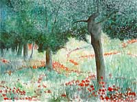 Garten, Toskana / Garden, Tuscany