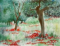 Garten, Toskana / Garden, Tuscany